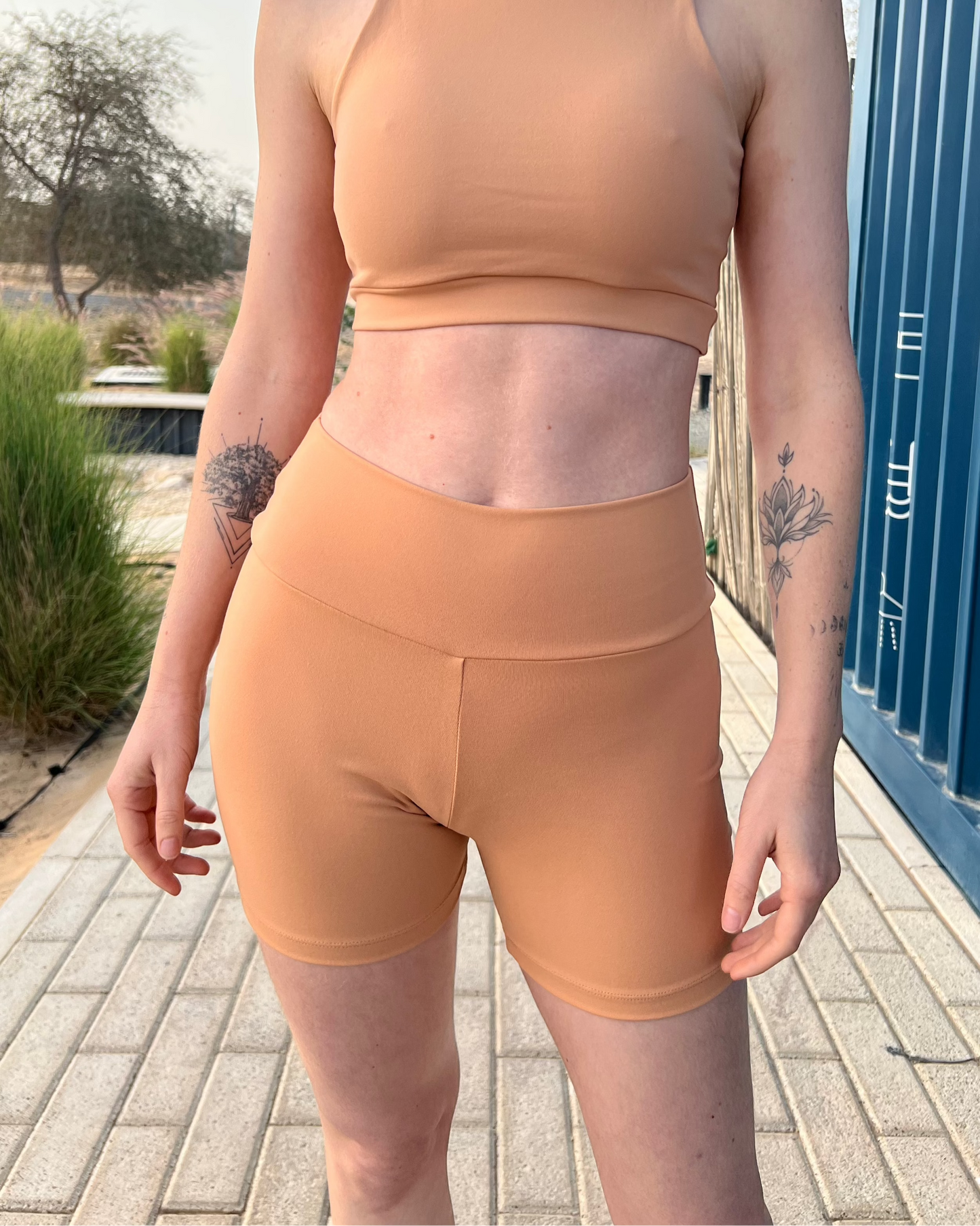 Top Intuition - Apricot